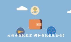 比特币钱包推荐：哪种钱