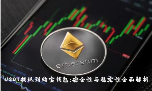 USDT提现到购宝钱包：安全性与稳定性全面解析
