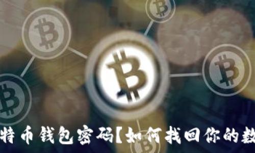 忘记比特币钱包密码?如何找回你的数字资产