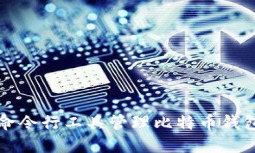 如何使用命令行工具管理比特币钱包交易记录