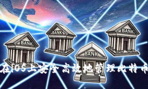 如何在iOS上安全高效地管理比特币钱包