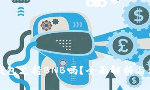 比特派钱包支持BNB吗？全面解析与使用指南