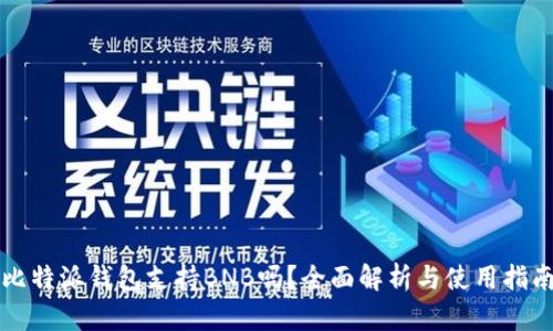 比特派钱包支持BNB吗？全面解析与使用指南