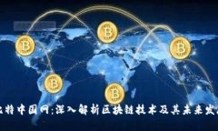比特中国网：深入解析区块链技术及其未来发展