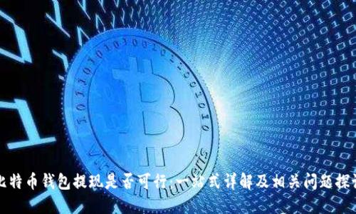 比特币钱包提现是否可行：一站式详解及相关问题探讨