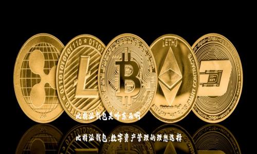 比特派钱包是啥东西啊

比特派钱包：数字资产管理的理想选择