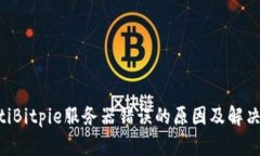 ziaotiBitpie服务器错误的原因及解决方案