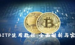 B特派BITP使用教程：全面解析与实用技巧