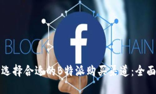 如何选择合适的B特派购买渠道：全面指南