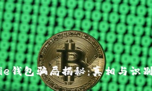 Bitpie钱包骗局揭秘：真相与识别方法
