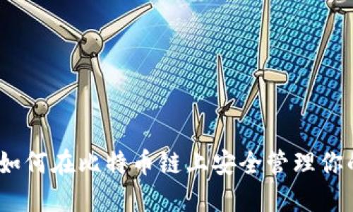 : TP钱包：如何在比特币链上安全管理你的数字资产