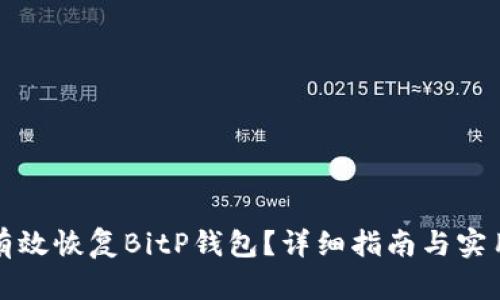 如何有效恢复BitP钱包？详细指南与实用技巧