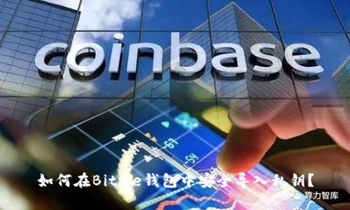 如何在Bitpie钱包中安全导入私钥？