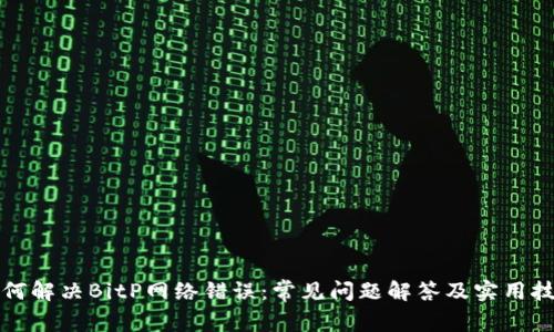 如何解决BitP网络错误：常见问题解答及实用技巧