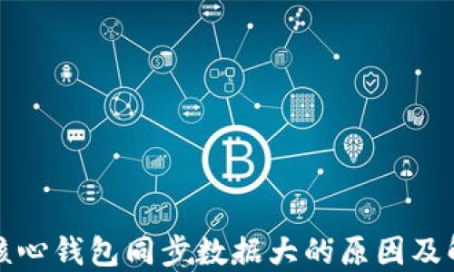 
比特币核心钱包同步数据大的原因及解决方案