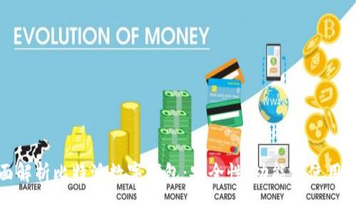 全面解析比特派数字钱包：安全性、功能与使用指南