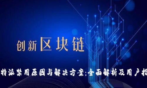 比特派禁用原因与解决方案：全面解析及用户指南