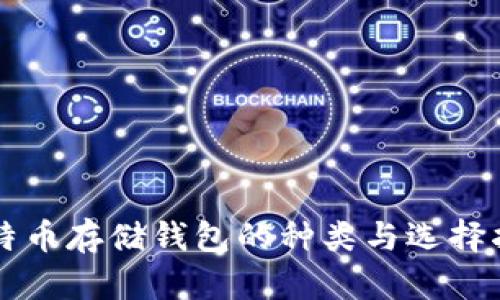 比特币存储钱包的种类与选择指南