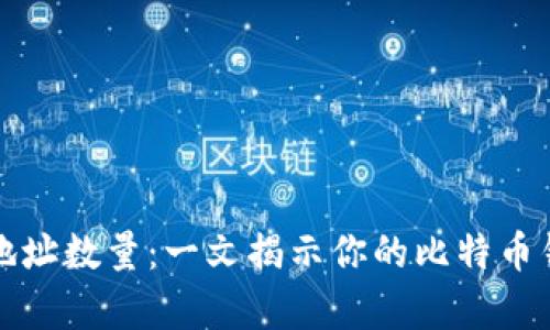 比特币钱包中的收款地址数量：一文揭示你的比特币钱包有多少个收款地址