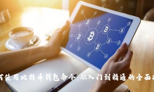 如何使用比特币钱包命令：从入门到精通的全面指南