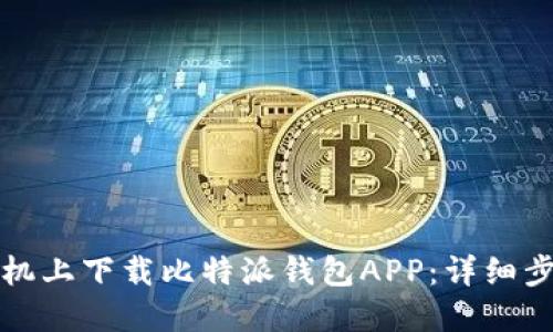 如何在苹果手机上下载比特派钱包APP：详细步骤与使用指南