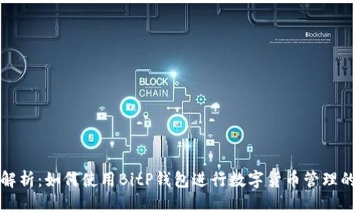 全面解析：如何使用BitP钱包进行数字货币管理的教程